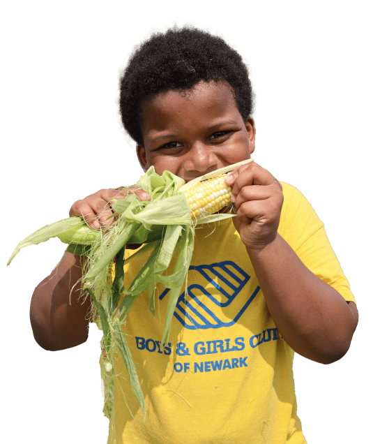 Boys and Girls Club of Newark Kids Farm Days harvesting corn