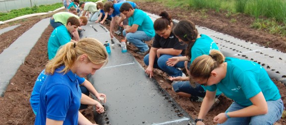 Group of blue shirted volunteers planting in garden beds