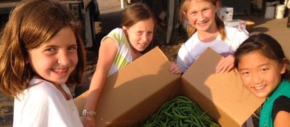 Group of young girls proudly holding a box of freshly picked green beans