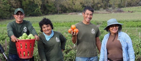 Happy farm workers with baskets of fresh green tomatoes and bell peppers