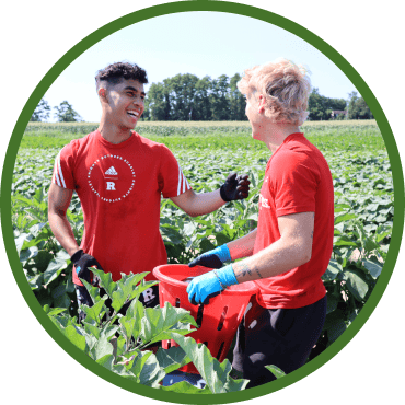 Two volunteers laughing together while picking vegetables in a farm field