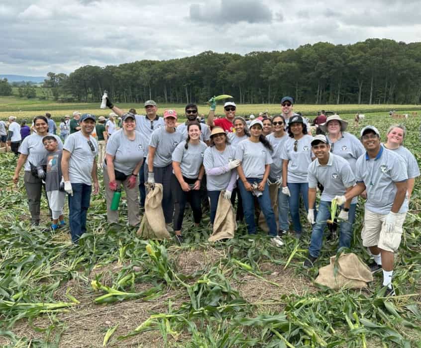 Volunteers Unite for Corn Gleaning