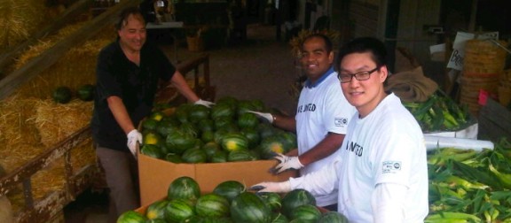 Volunteers sorting fresh watermelons at a local farm stand