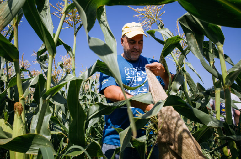 Volunteer at America's Grow-a-Row