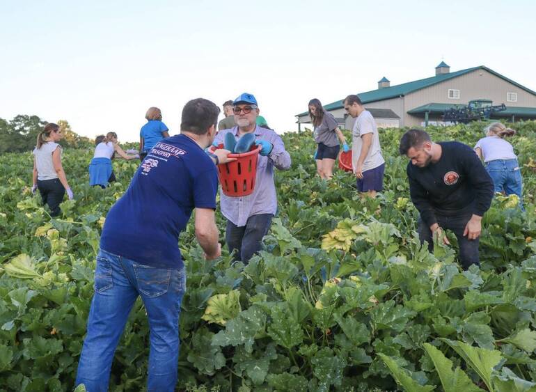 Young Professionals Volunteer Night