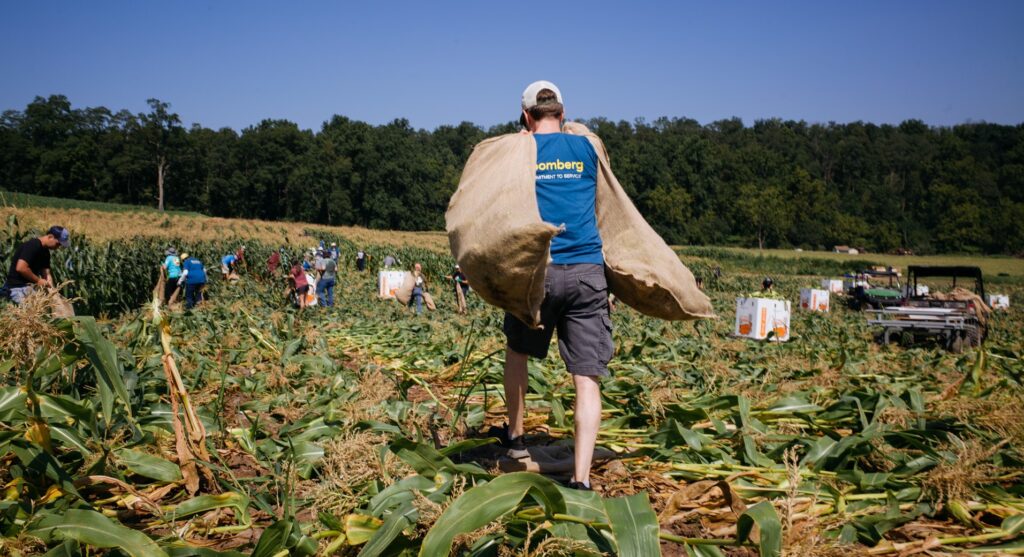safety blog cover crop