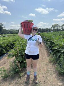 Teva Volunteer Harvesting Zucchini