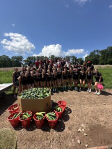 Rutgers Volunteers Harvesting Zucchini